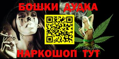 индика Дубна