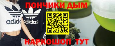 индика Дубна
