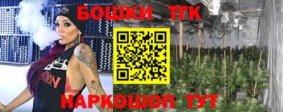 индика Дубна