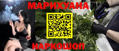 индика Дубна