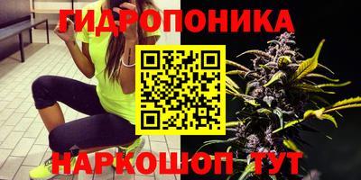 индика Дубна