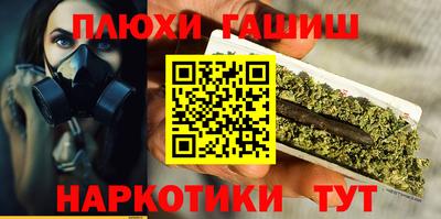 индика Дубна