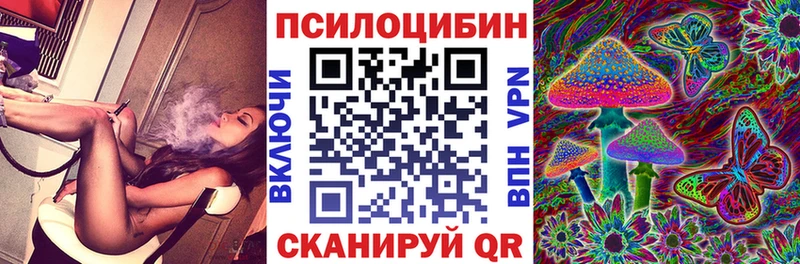 blacksprut ссылка  Нарткала  Галлюциногенные грибы Psilocybe 