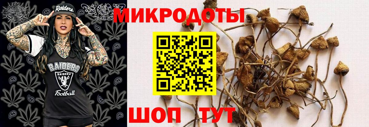 Нарткала  что такое наркотик  Вход с VPN  Галлюциногенные грибы Psilocybe  Галлюциногенные грибы MAGIC MUSHROOMS 